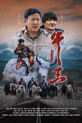 免费看91视频