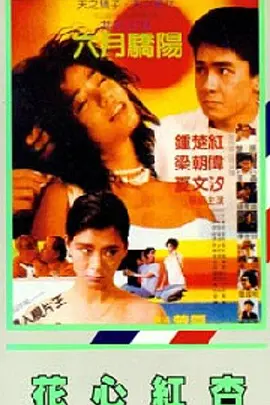 成年视频在线播放