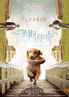 月光影院完整电影观看视频