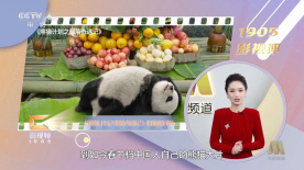 免费看a